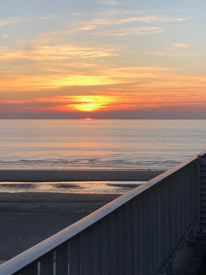 Apartmán Sea-Senses Com/Blue Moon Koksijde Exteriér fotografie